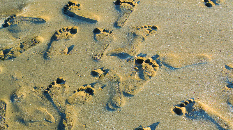 Your life and footprints…